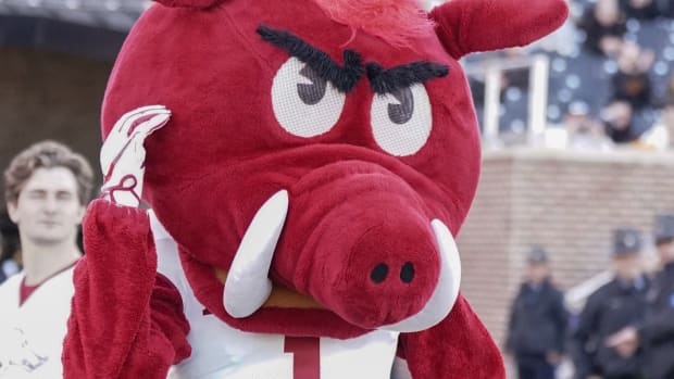 Nov 25, 2022; Columbia, Missouri, USA; Arkansas Razorbacks mascot during the first half against the Missouri Tigers at Faurot Field at Memorial Stadium. Mandatory Credit: Denny Medley-USA TODAY Sports